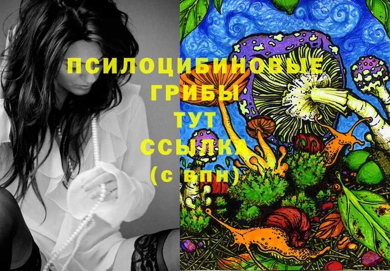 Галлюциногенные грибы Psilocybe  Верхняя Тура 